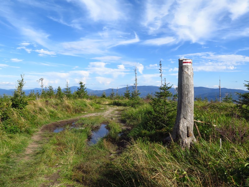 IMG_6085 (Custom).JPG