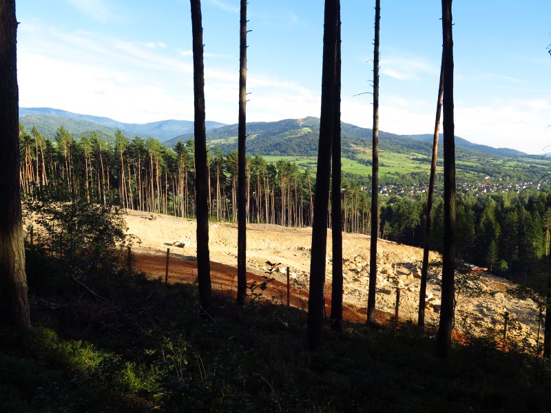 IMG_6095 (Custom).JPG