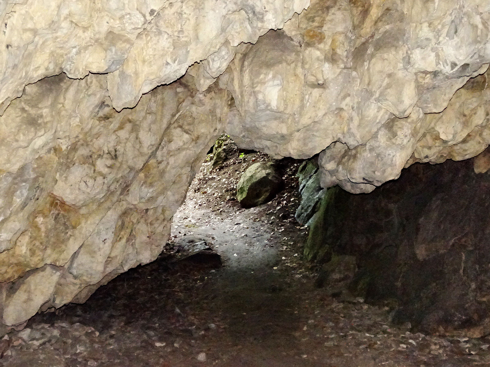 DSC06220.JPG