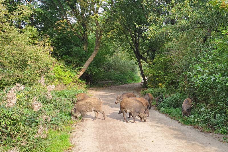 20200925_092603 mały.jpg