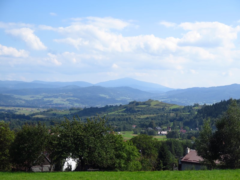 IMG_6130 (Custom).JPG