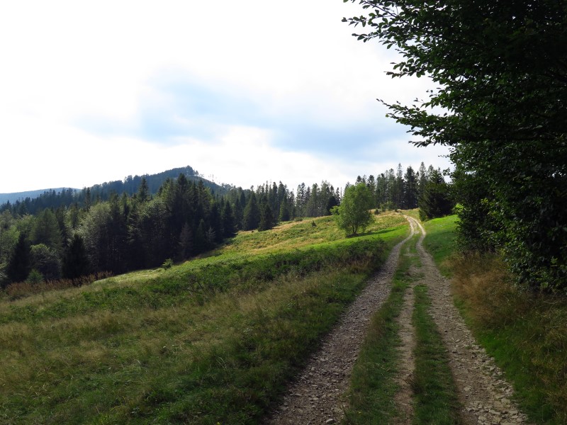 IMG_6143 (Custom).JPG