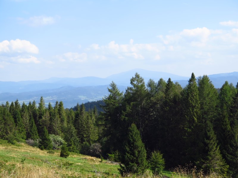 IMG_6152 (Custom).JPG