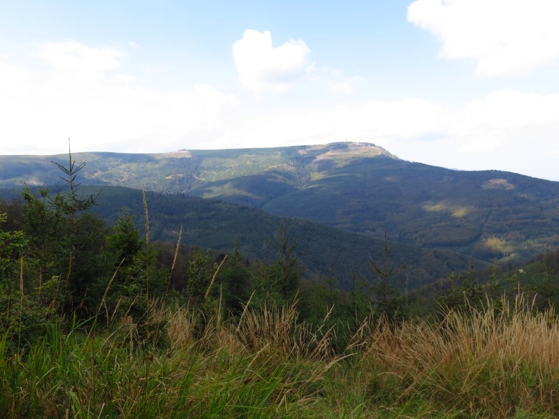 IMG_6157 (Custom).JPG