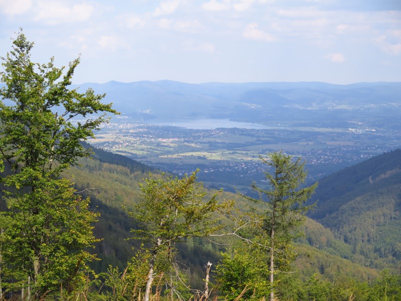 IMG_6189 (Custom).JPG