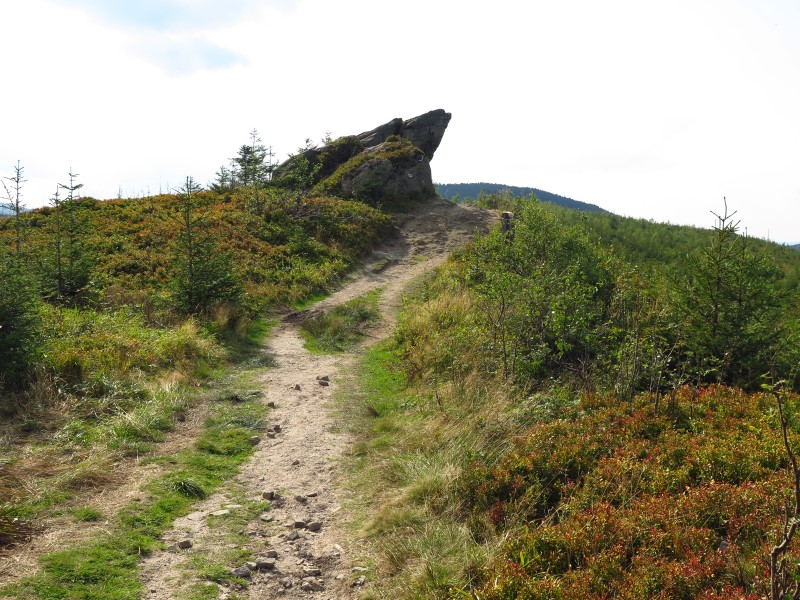 IMG_6238 (Custom).JPG