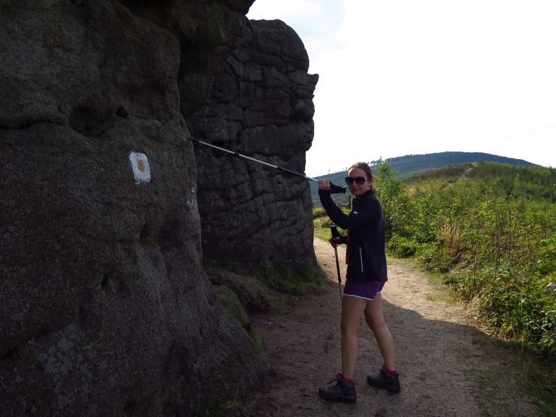 IMG_6246 (Custom).JPG