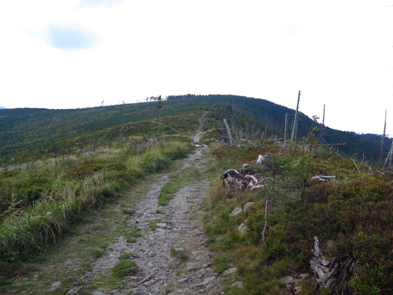 IMG_6258 (Custom).JPG