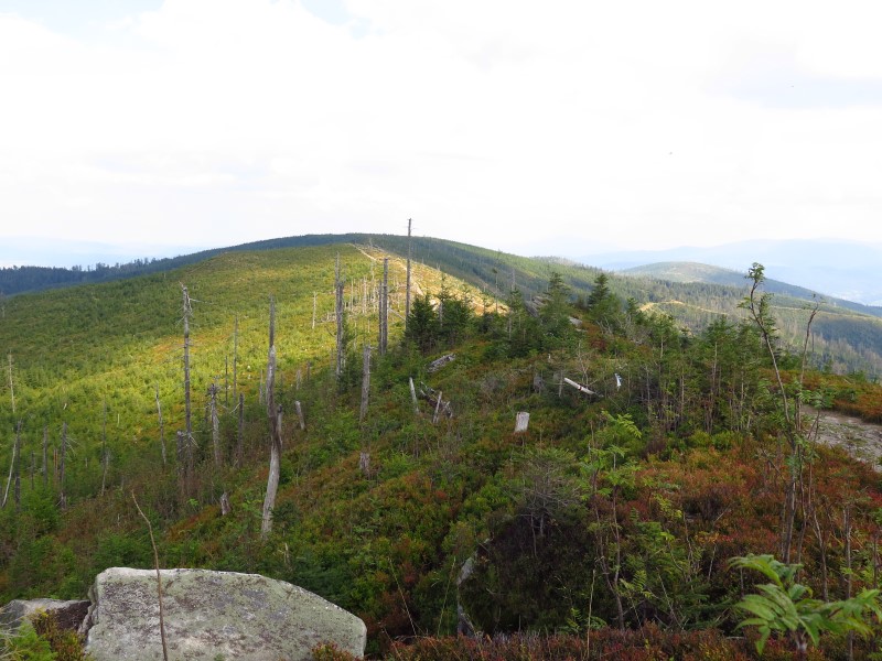 IMG_6266 (Custom).JPG