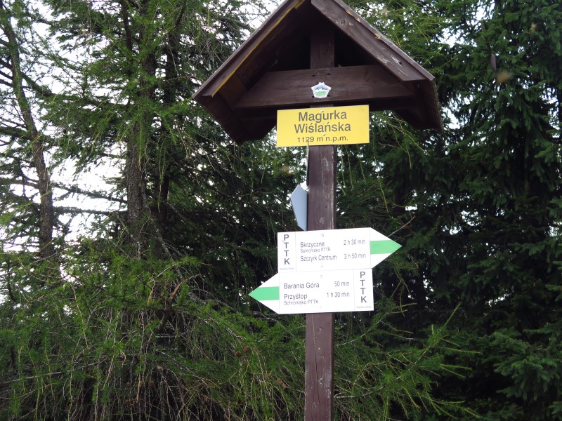 IMG_6272 (Custom).JPG