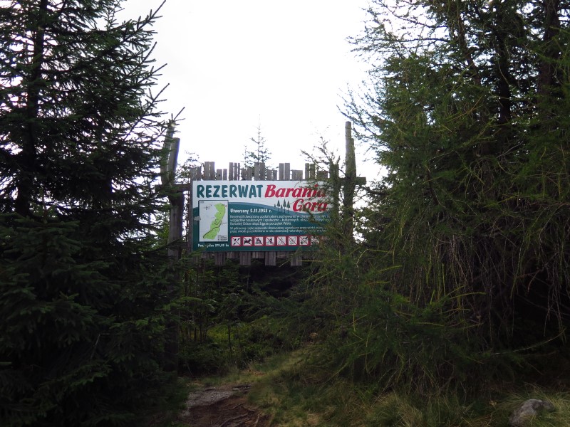 IMG_6273 (Custom).JPG