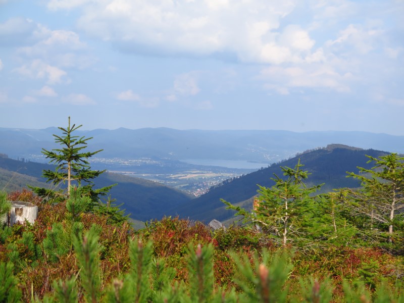 IMG_6279 (Custom).JPG