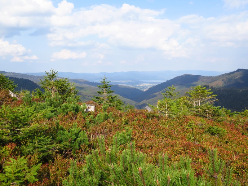 IMG_6280 (Custom).JPG