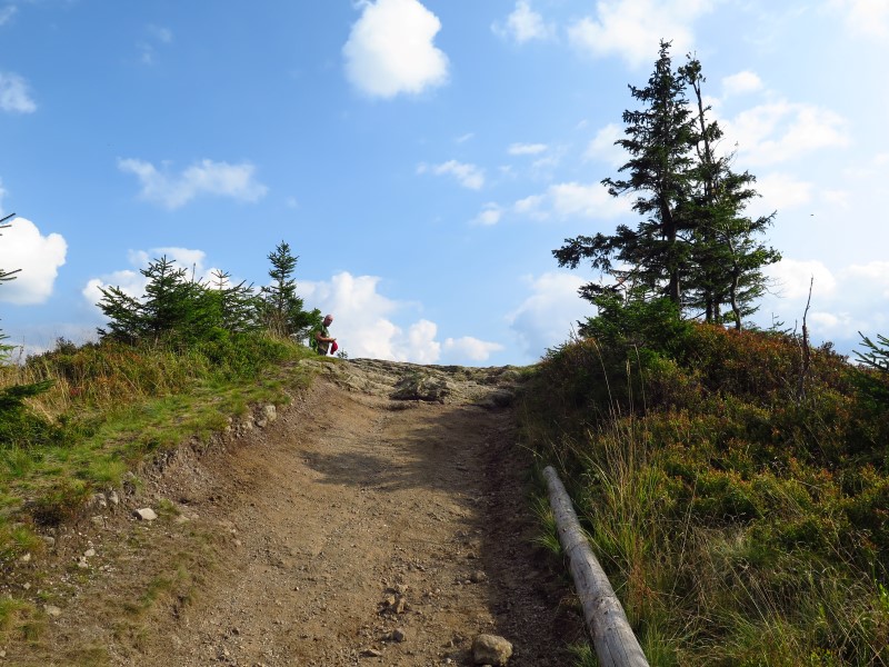 IMG_6289 (Custom).JPG