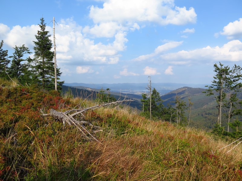 IMG_6295 (Custom).JPG