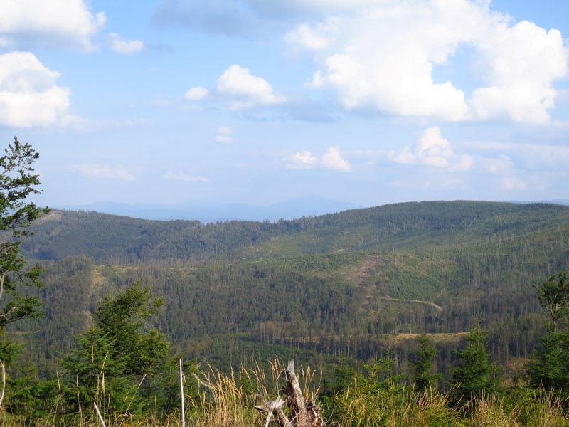 IMG_6297 (Custom).JPG