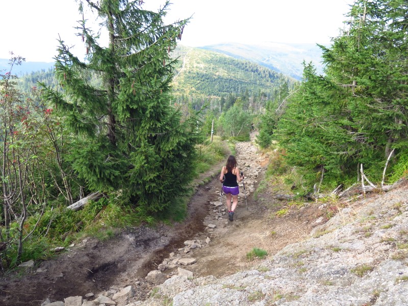 IMG_6317 (Custom).JPG