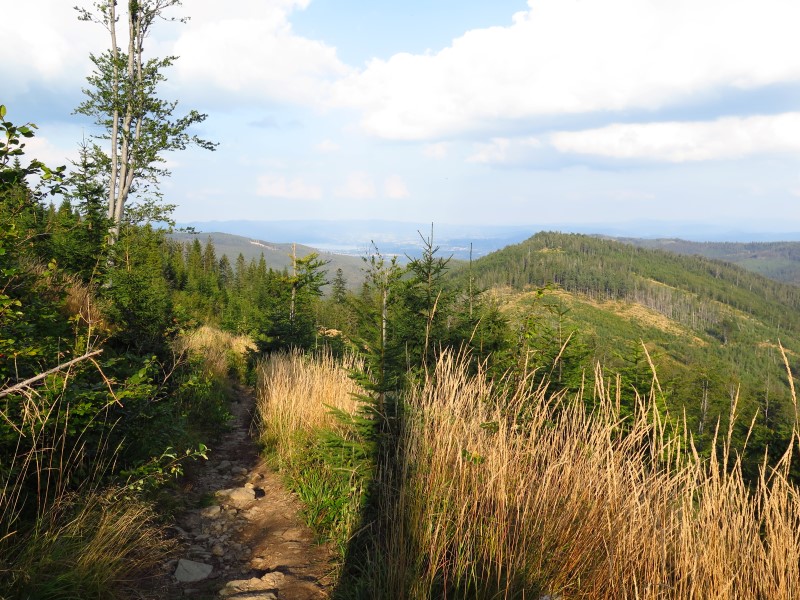 IMG_6327 (Custom).JPG