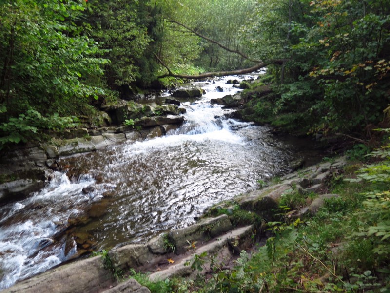 IMG_6374 (Custom).JPG