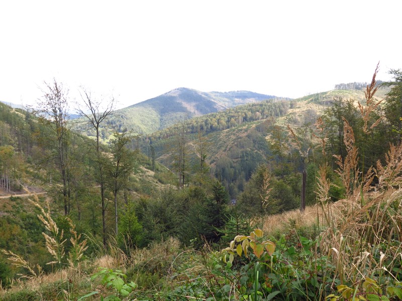 IMG_6502 (Custom).JPG