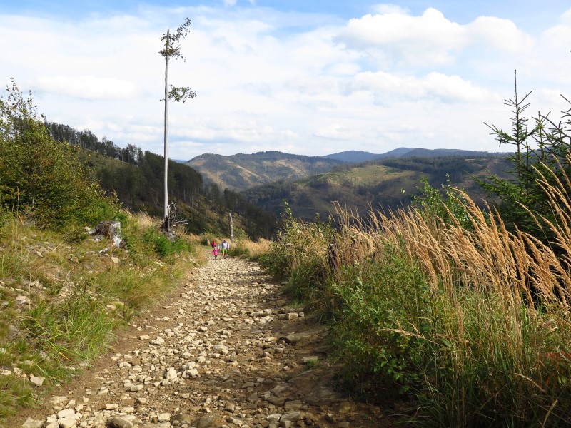 IMG_6507 (Custom).JPG