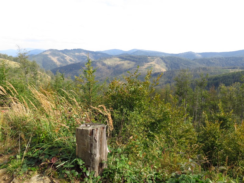 IMG_6514 (Custom).JPG