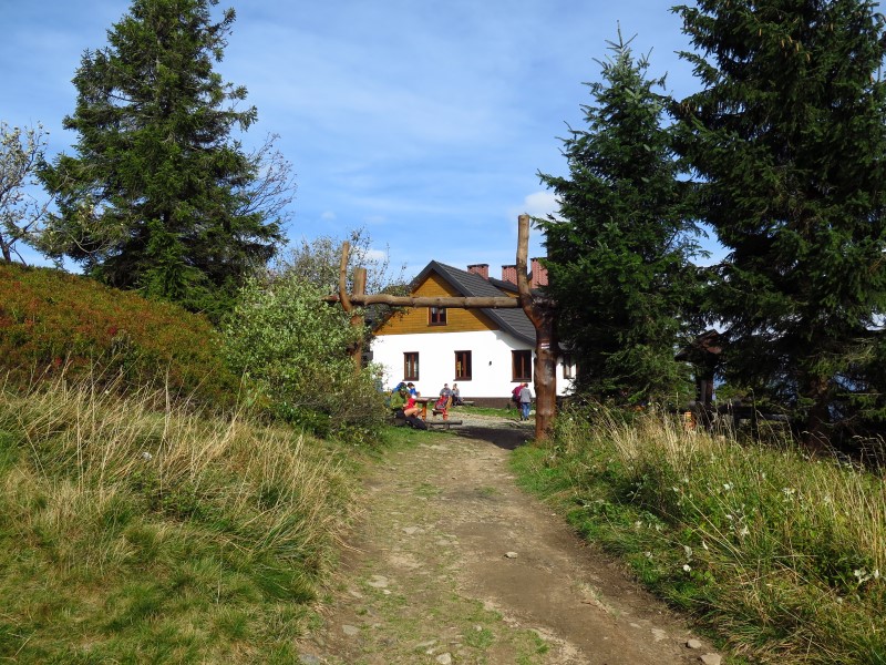 IMG_6525 (Custom).JPG