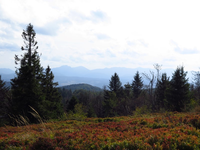 IMG_6547 (Custom).JPG