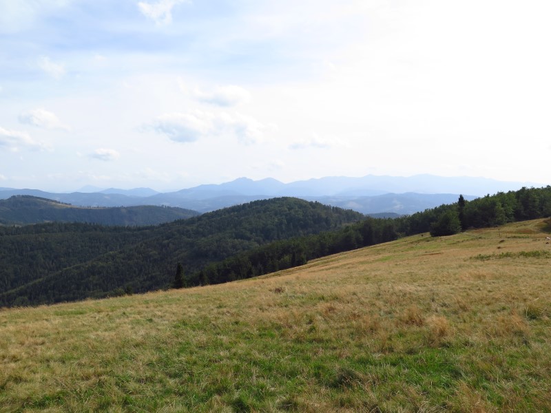 IMG_6568 (Custom).JPG