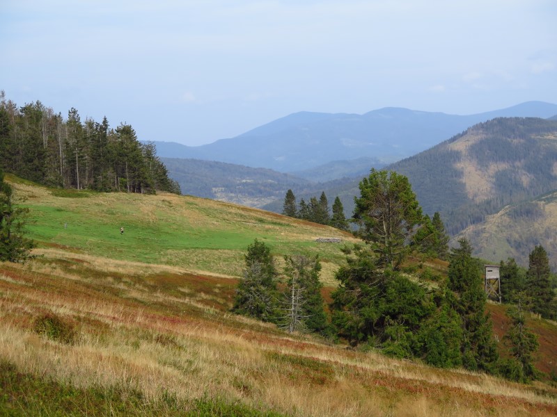 IMG_6579 (Custom).JPG