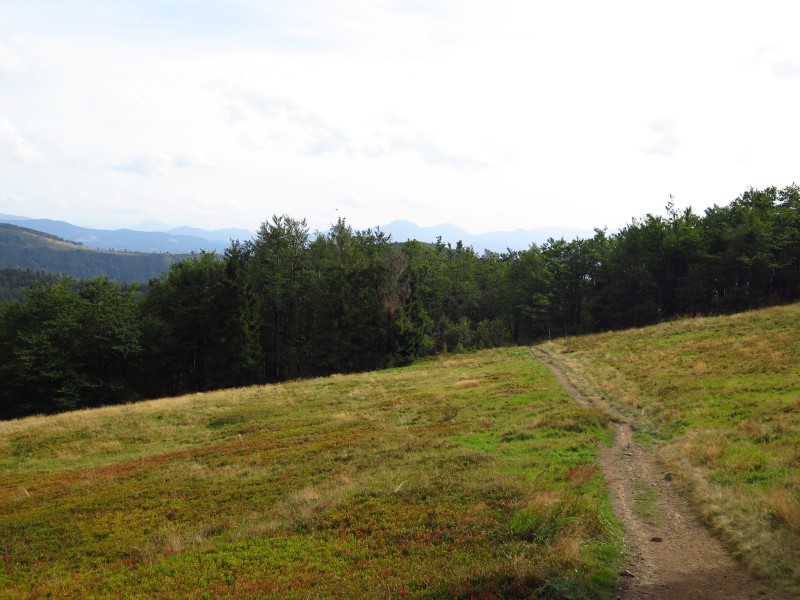 IMG_6581 (Custom).JPG