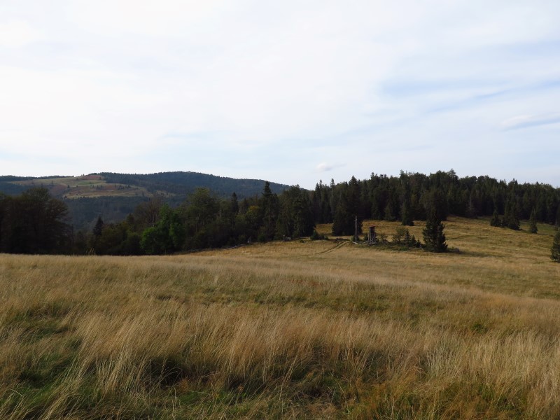 IMG_6589 (Custom).JPG