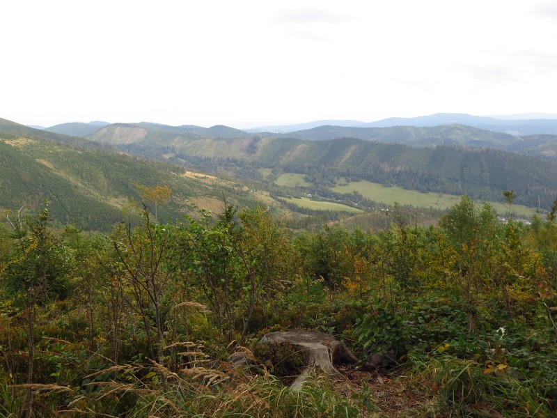 IMG_6593 (Custom).JPG