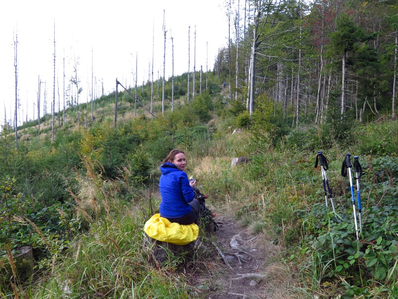 IMG_6611 (Custom).JPG