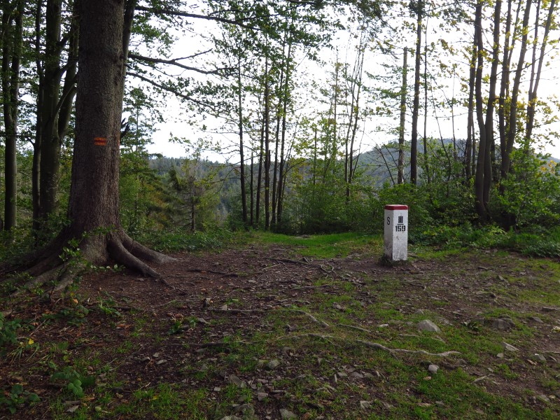 IMG_6615 (Custom).JPG