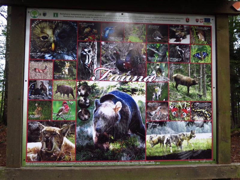 IMG_6617 (Custom).JPG