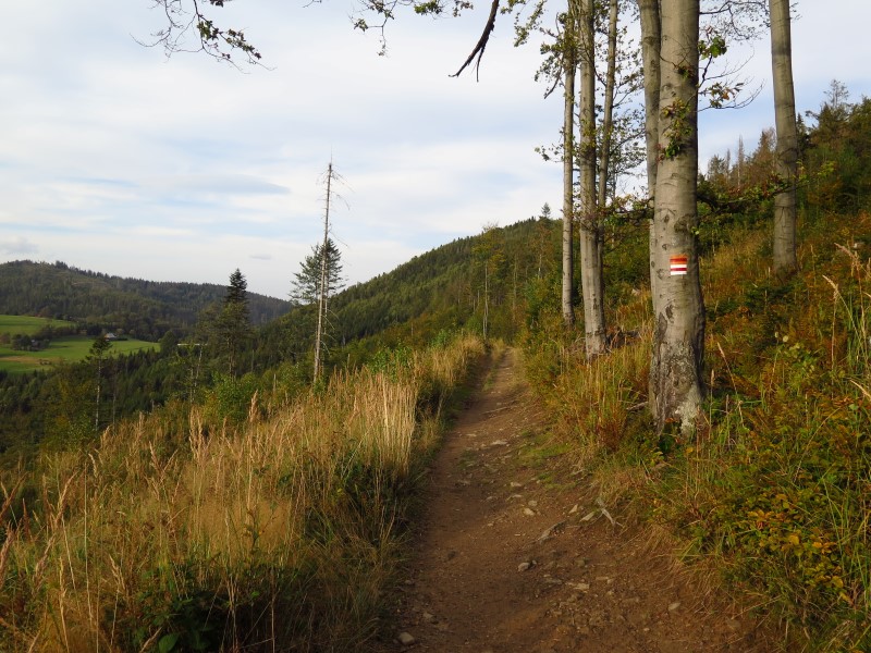 IMG_6628 (Custom).JPG