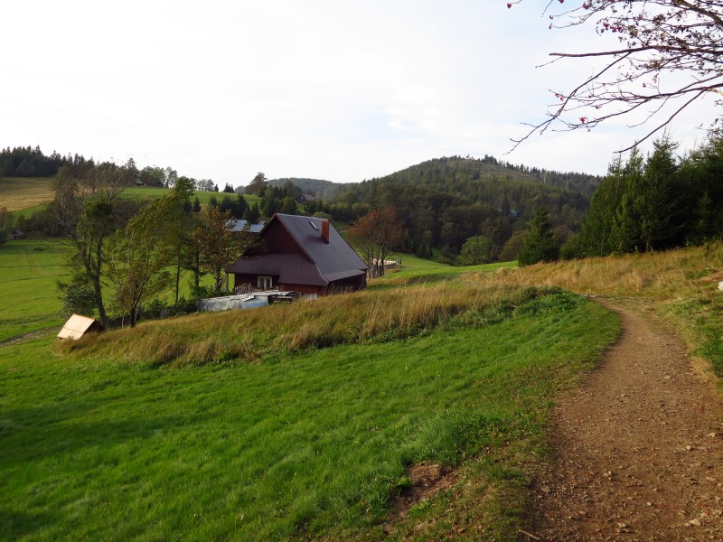 IMG_6641 (Custom).JPG