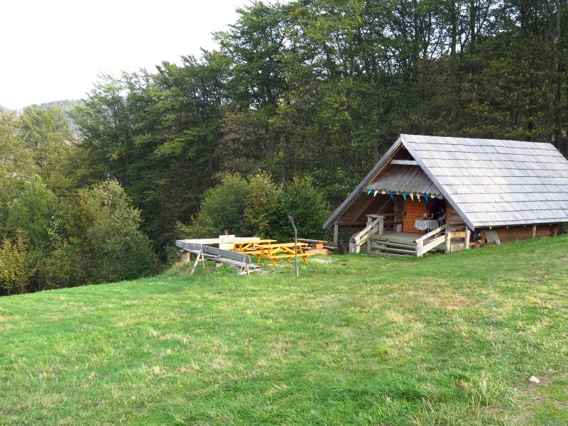 IMG_6644 (Custom).JPG