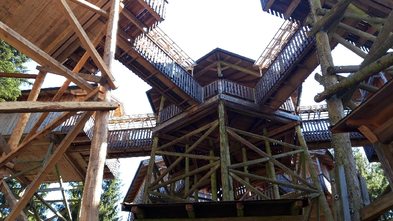 20200816_160152_resize_41.jpg