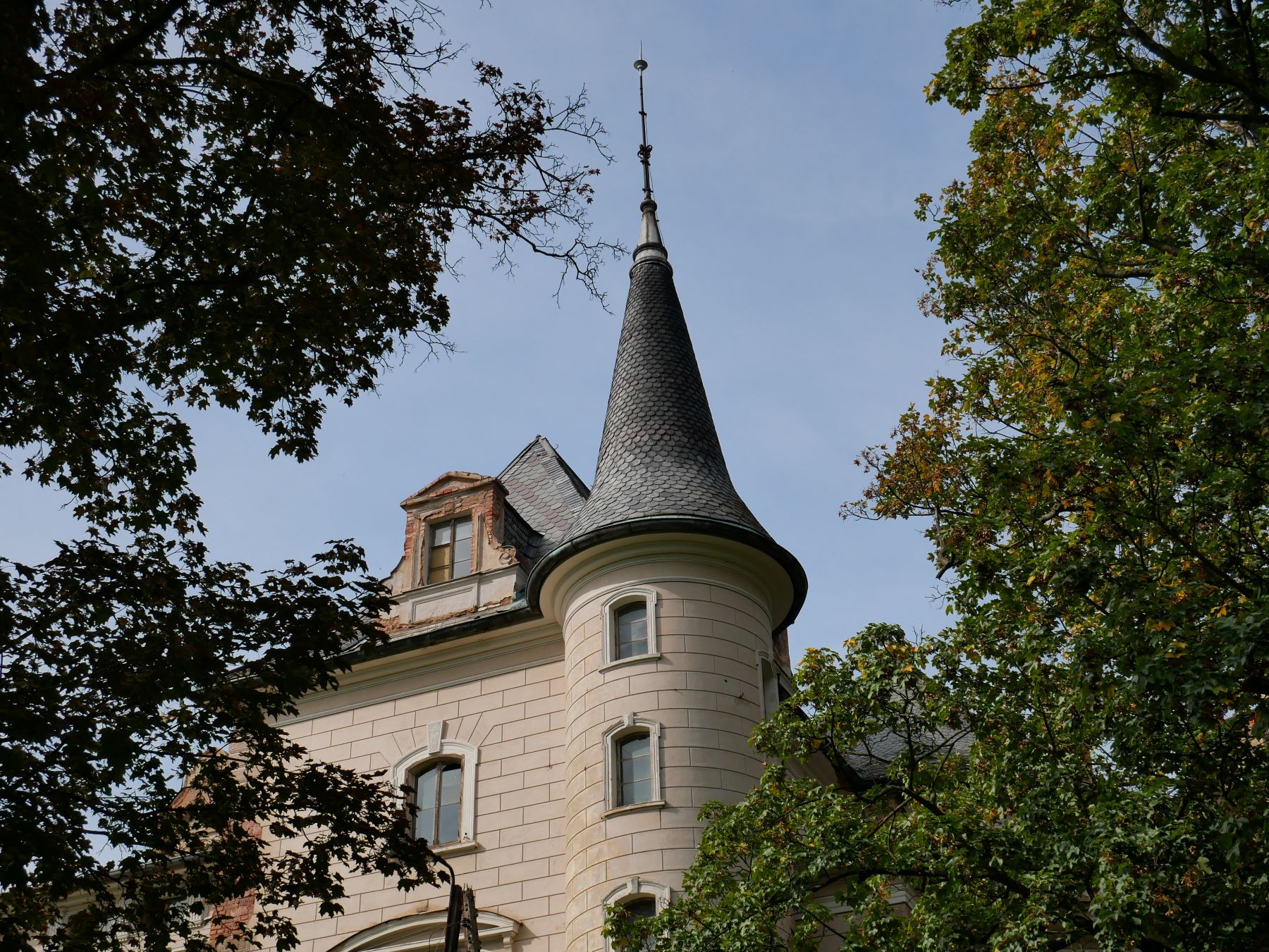 P1100523k.JPG