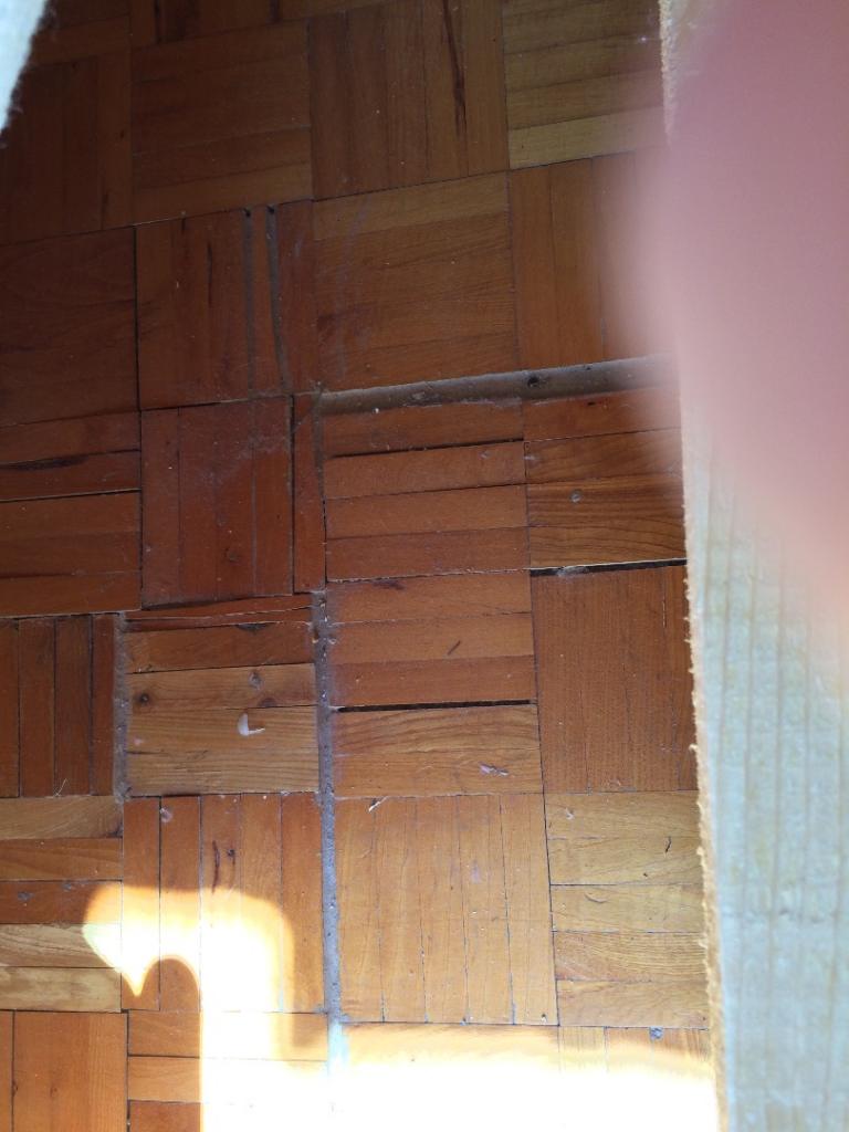 530.JPG 530.JPG