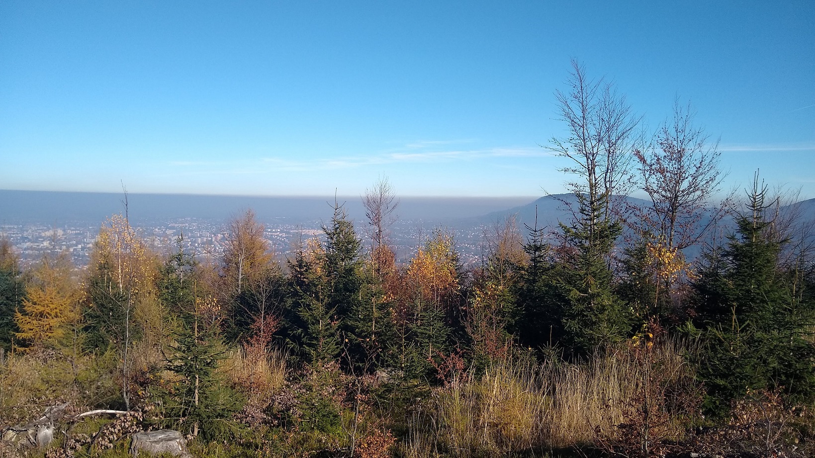 IMG_20201107_115938963-2 — kopia.jpg