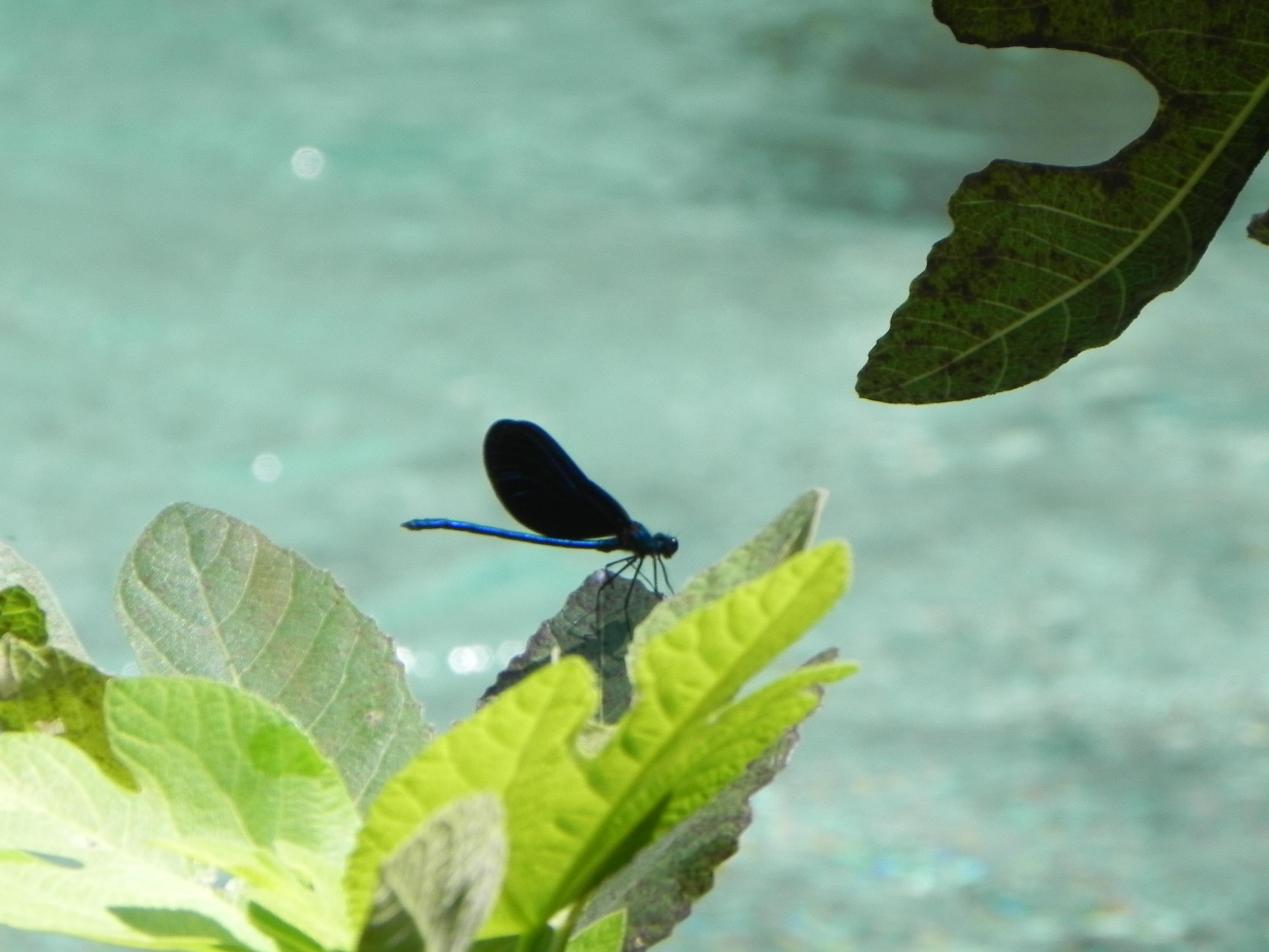 grecja-albania 2018 1053 (Copy).JPG