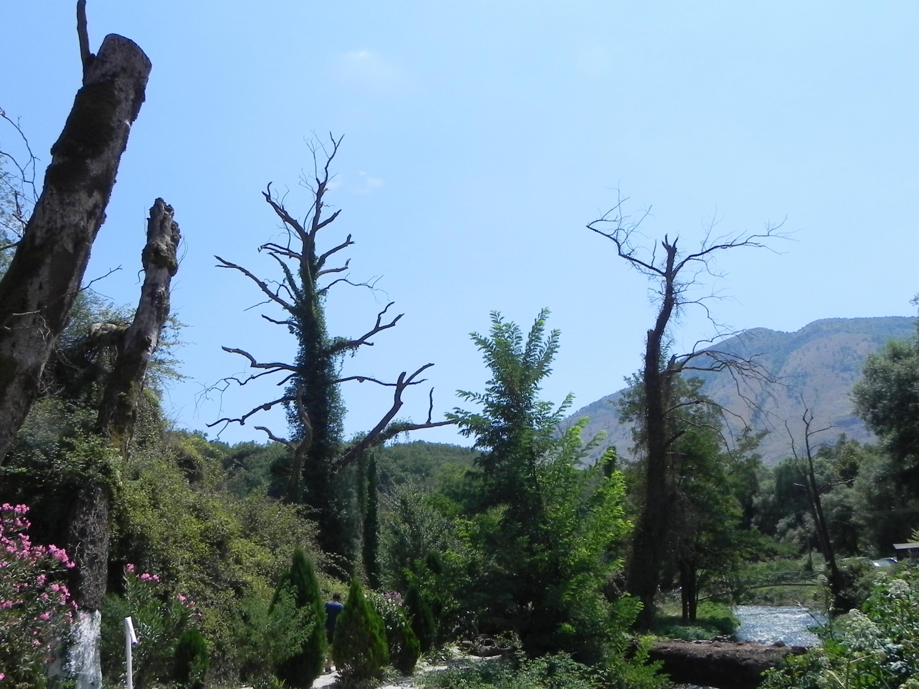 grecja-albania 2018 1038 (Copy).JPG