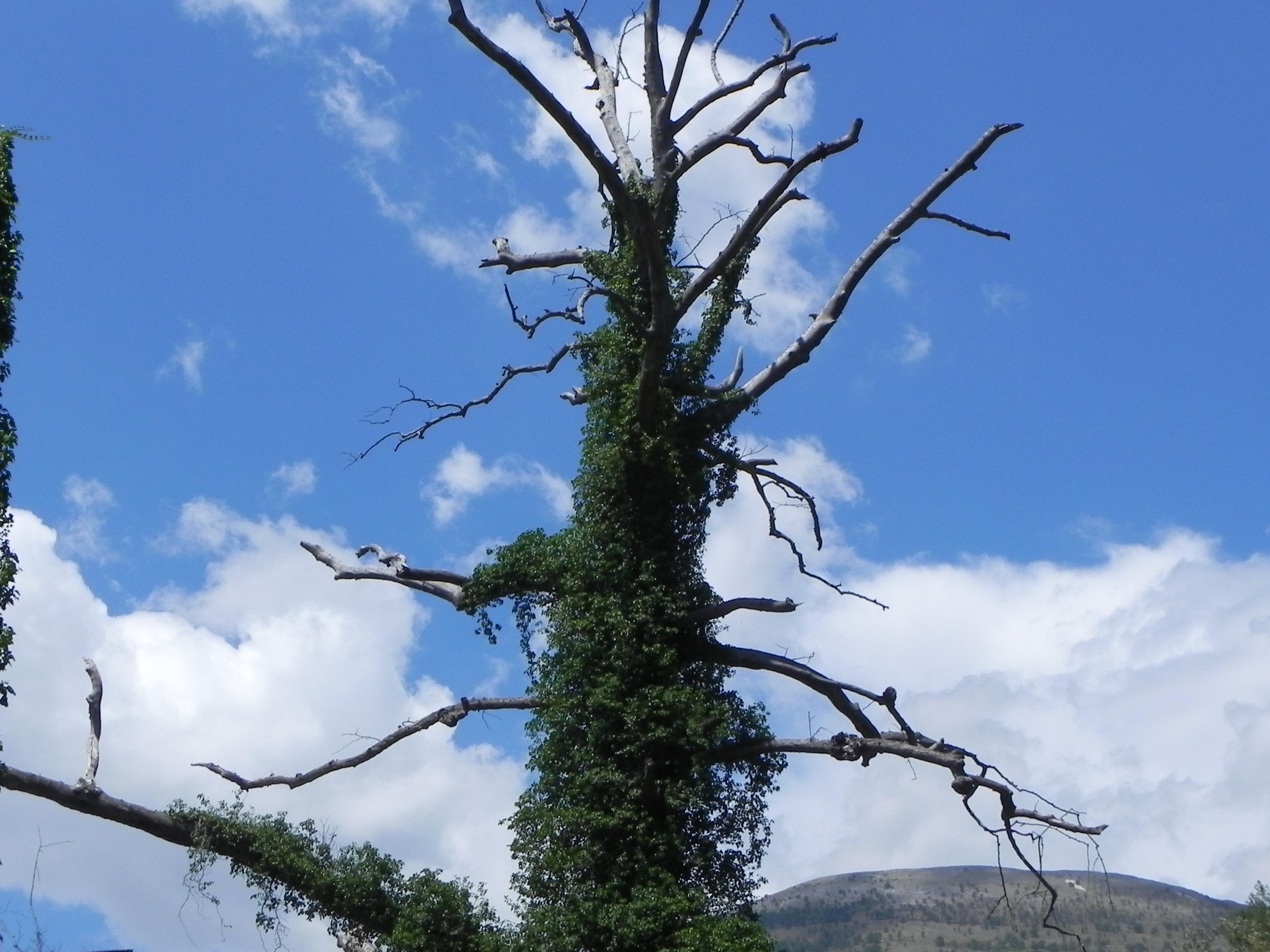 grecja-albania 2018 1023 (Copy) (2).JPG