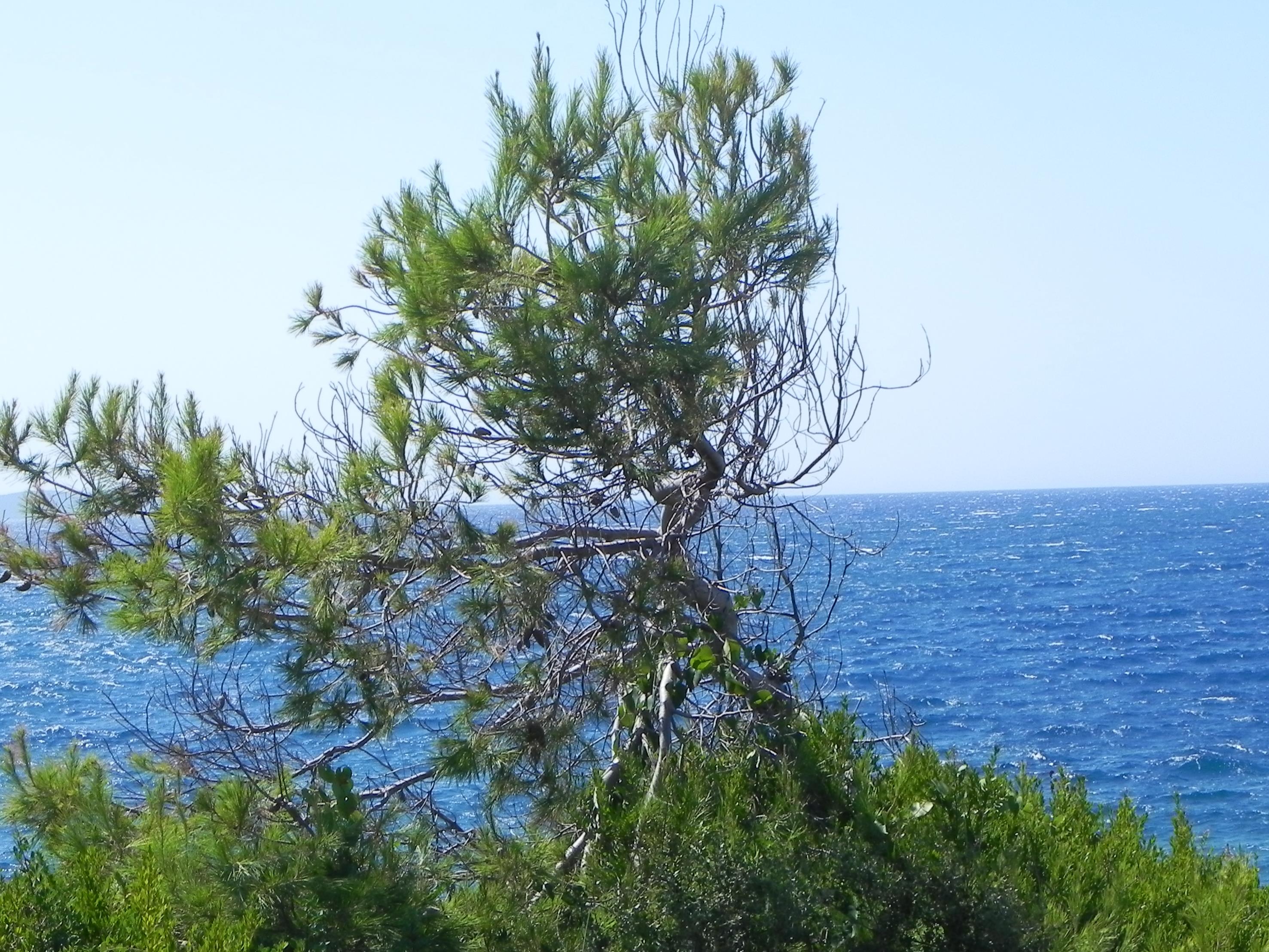 grecja-albania 2018 069 (Copy) (2).JPG