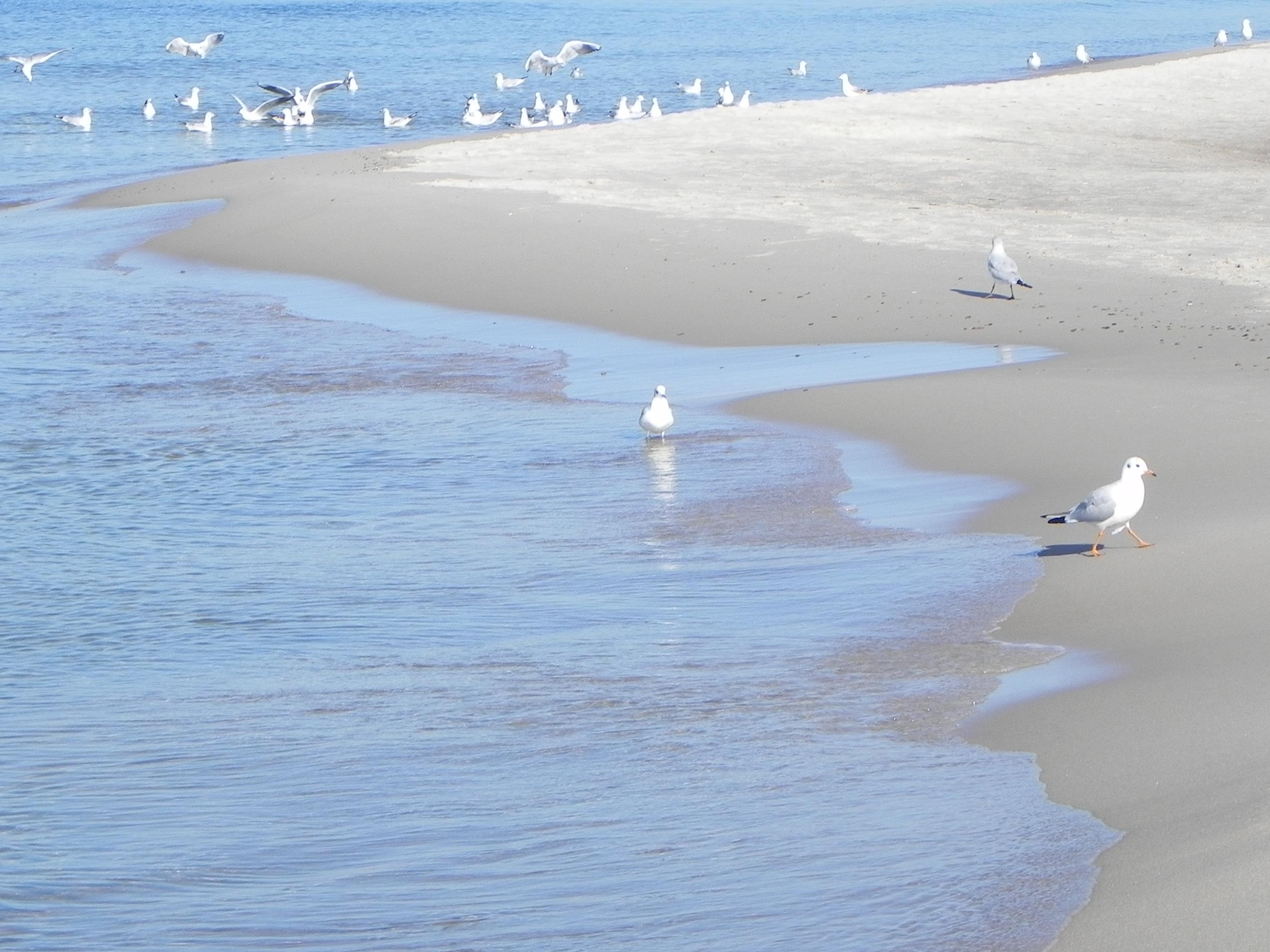 grecja-albania 2018 1238 (Copy).JPG