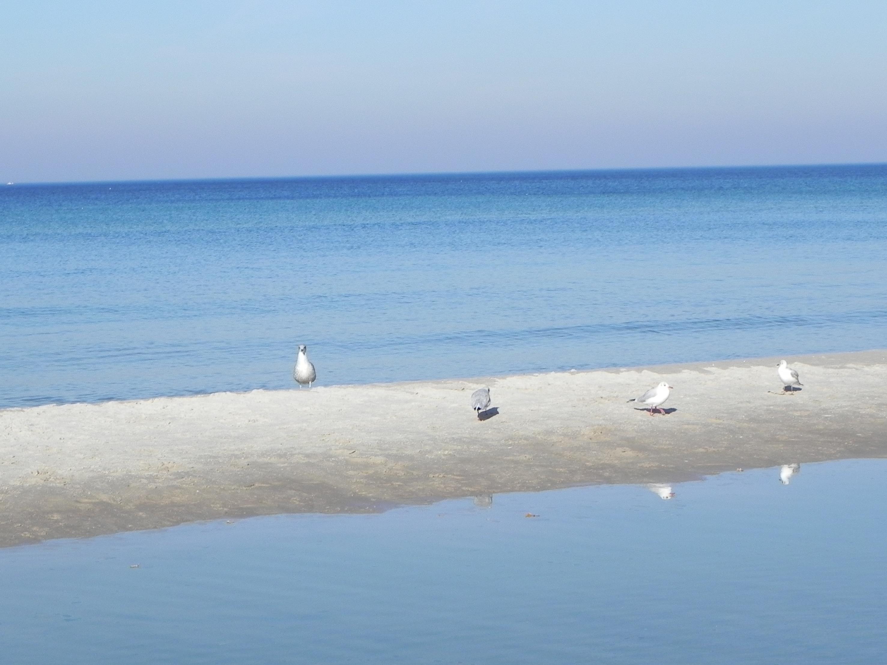 grecja-albania 2018 1251 (Copy).JPG