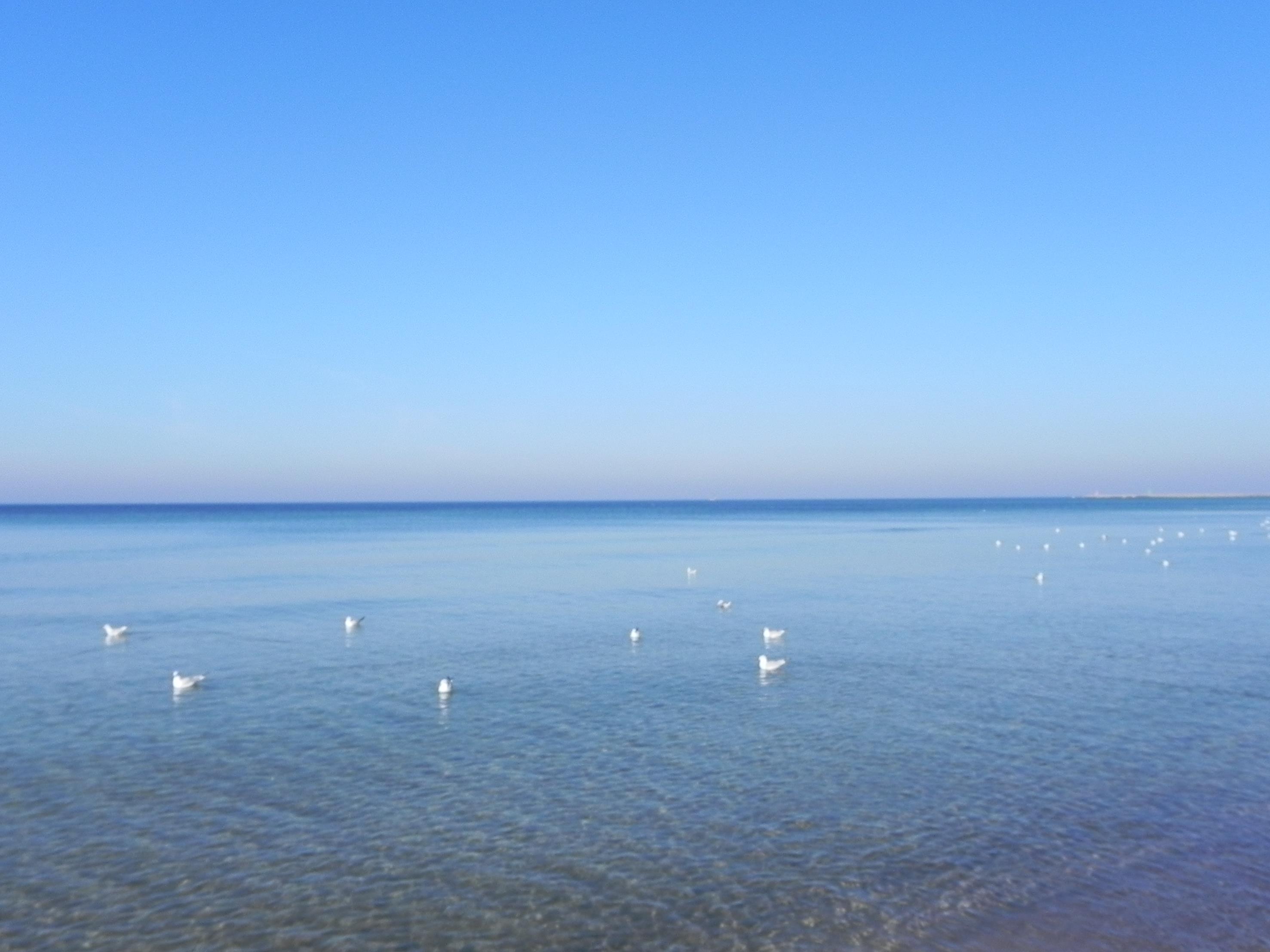 grecja-albania 2018 1264 (Copy).JPG